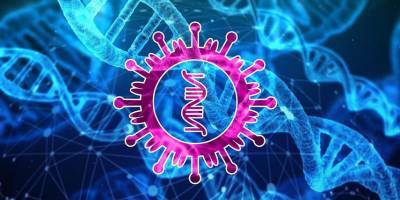 ВОЗ назвала вероятный сценарий происхождения коронавируса