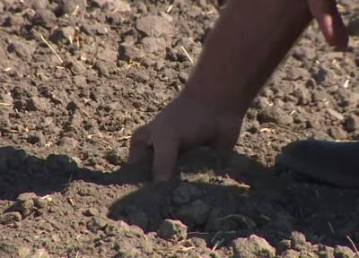 Реки высохнут и погибнут урожаи: Украину ждет аномально жаркое лето – прогноз экологов