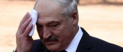 В КНУ им. Шевченко рассказали, почему не могут лишить Лукашенко звания почетного доктора