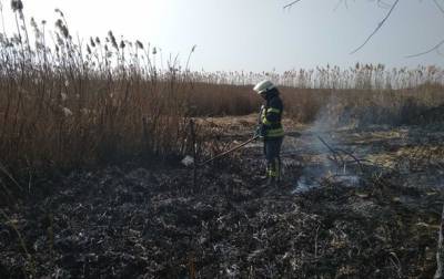 В Киевской области за выходные выгорело 330 гектаров