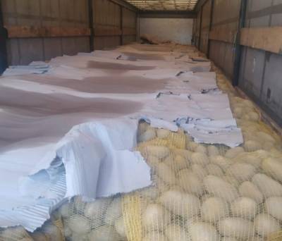 Таможенники конфисковали свыше 2 тонн контрабандного картофеля: фото