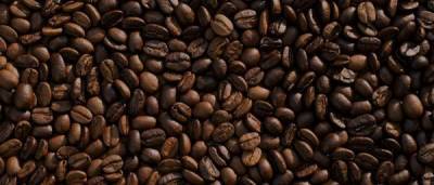 Кофейные отходы могут ускорить восстановление тропических лесов