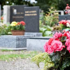 В Запорожье до 26 апреля поручили привести в порядок городские кладбища