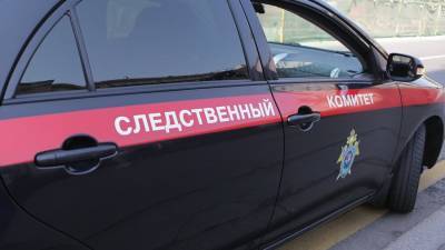 СК проверит обстоятельства появления синяков на теле ребенка в детсаду на севере Москвы
