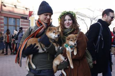 Благотворительный фестиваль «Собаки, которые любят» пройдет в Москве