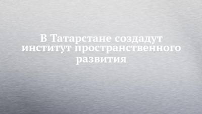 В Татарстане создадут институт пространственного развития