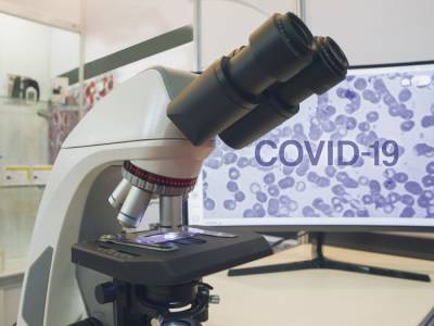 Отчет ВОЗ: Наиболее вероятный источник возникновения COVID-19 – животные, а не лаборатория – AP