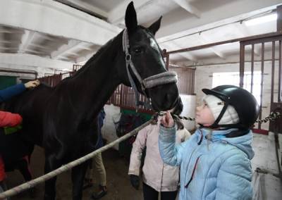 В крымском зоопарке лошадь откусила палец пятилетней девочке