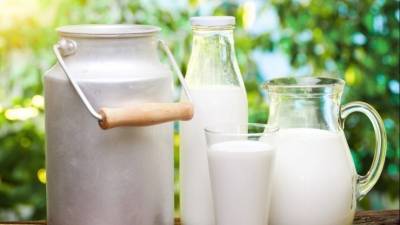 Эликсир здоровья: Можно ли в России купить лосиное молоко?