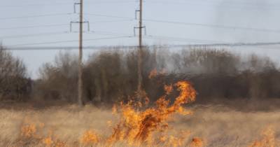 За выходные операторы 112 в Калининградской области приняли более полутысячи сообщений о горящей траве