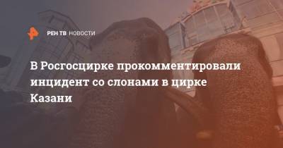 В Росгосцирке прокомментировали инцидент со слонами в цирке Казани