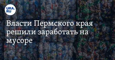Власти Пермского края решили заработать на мусоре