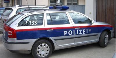 Угрожали пистолетом. В Австрии неизвестные в масках напали на двух подростков из Украины, один получил ножевое ранение