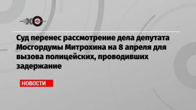 Суд перенес рассмотрение дела депутата Мосгордумы Митрохина на 8 апреля для вызова полицейских, проводивших задержание