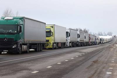 Литовские власти ожидают сокращения очереди из грузовиков на границе с Беларусью к 31 марта