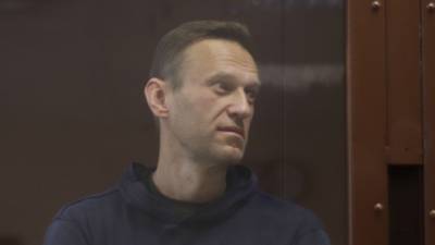 Запад попытался вмешаться в дела РФ после неоднозначного высказывания юриста Навального