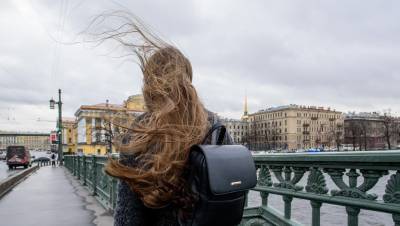 Во вторник Петербург ожидает усиление ветра