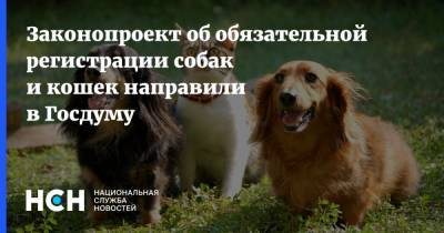 Законопроект об обязательной регистрации собак и кошек направили в Госдуму