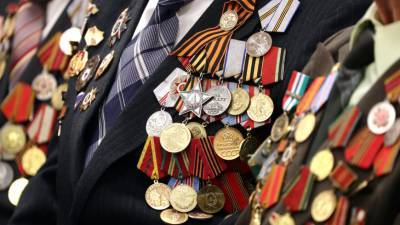 Ветераны первыми получат медали к 800-летию Нижнего Новгорода