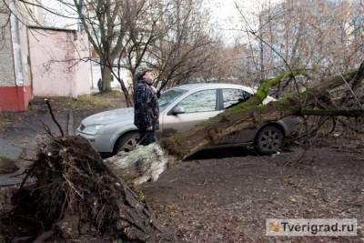 В Тверской области объявлен «жёлтый» уровень опасности