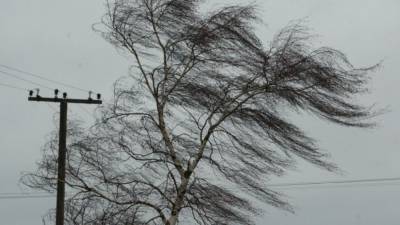 МЧС предупредило о порывах ветра и гололедице в Москве в ночь на 3 марта