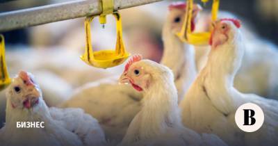 Крупнейшие птицеводы решили два месяца не повышать цены на курицу и яйца
