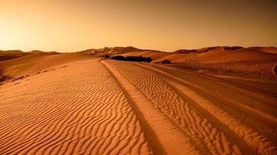 Гигантские геоглифы и двухметровые люди: Названы самые необычные находки ученых в Сахаре