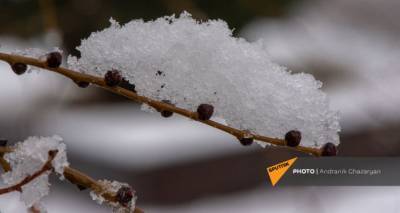 Весна в Армении с трудом вступает в права: синоптики сказали, где выпадет снег