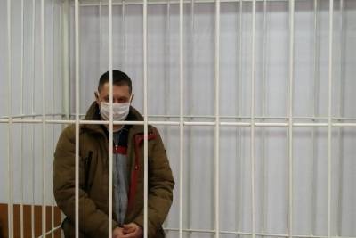 В Новосибирске водителя, сбившего маму с коляской, отправили под домашний арест