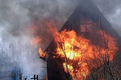 Соседи спасли двух детей на пожаре жилого дома в Смоленке