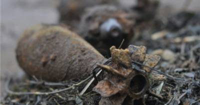 В Калининградской области за сутки нашли и вывезли больше 20 взрывоопасных предметов