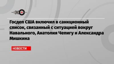 Госдеп США включил в санкционный список, связанный с ситуацией вокруг Навального, Анатолия Чепигу и Александра Мишкина