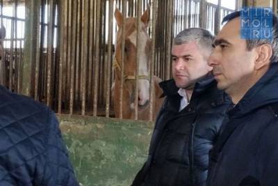 Минимущество Дагестана выявило два незаконных карьера вблизи племенного конного завода