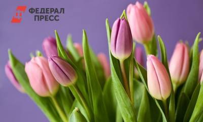 В России цены на цветы к 8 Марта могут взлететь на 30 %