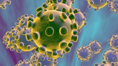 В Башкирии почти 29 тысяч зараженных коронавирусом