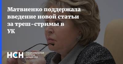 Матвиенко поддержала введение новой статьи за треш-стримы в УК