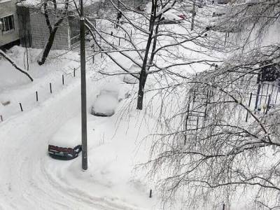 Минувший февраль в Москве оказался самым снежным за последние семь лет