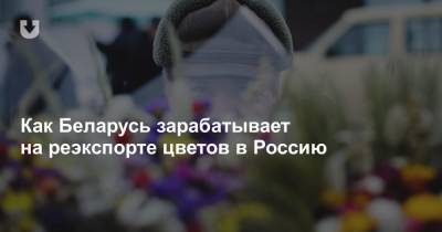 Как Беларусь зарабатывает на реэкспорте цветов в Россию