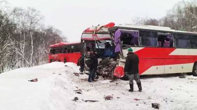 На Камчатке в ДТП с двумя автобусами погибли два человека, восемь пострадали