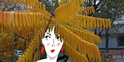 Рисунки с осенними листьями. Украинская художница попала в шортлист престижной Болонской выставки иллюстраторов