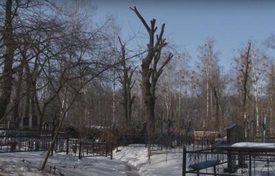 Под Киевом коммунальщики испортили могилы, работая на кладбище