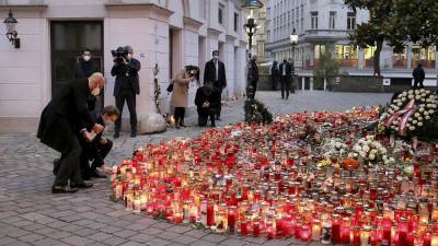 Теракт в Вене: на власти Австрии подают в суд