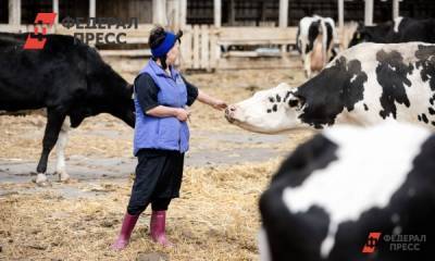 Артамонов: на поддержку липецких фермеров выделят более 180 миллионов