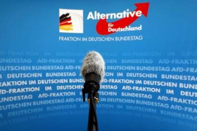 СМИ: партию «Альтернатива для Германии» заподозрили в правом экстремизме