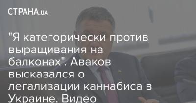 "Я категорически против выращивания на балконах". Аваков высказался о легализации каннабиса в Украине. Видео