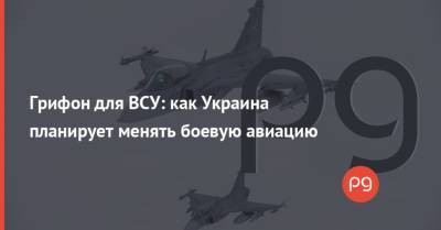 Грифон для ВСУ: как Украина планирует менять боевую авиацию