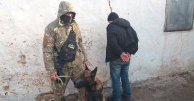 Догнал беглеца и схватил: в Херсонской области полицейский пес задержал серийного вора