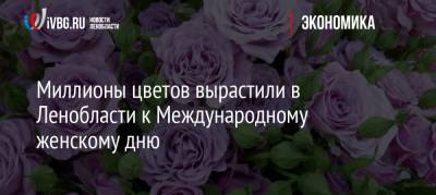 Миллионы цветов вырастили в Ленобласти к Международному женскому дню