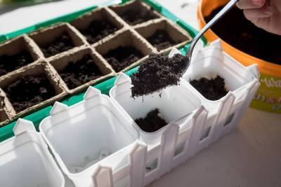 Земля для рассады – как приготовить правильную смесь для молодых растений