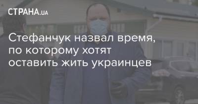 Стефанчук назвал время, по которому хотят оставить жить украинцев